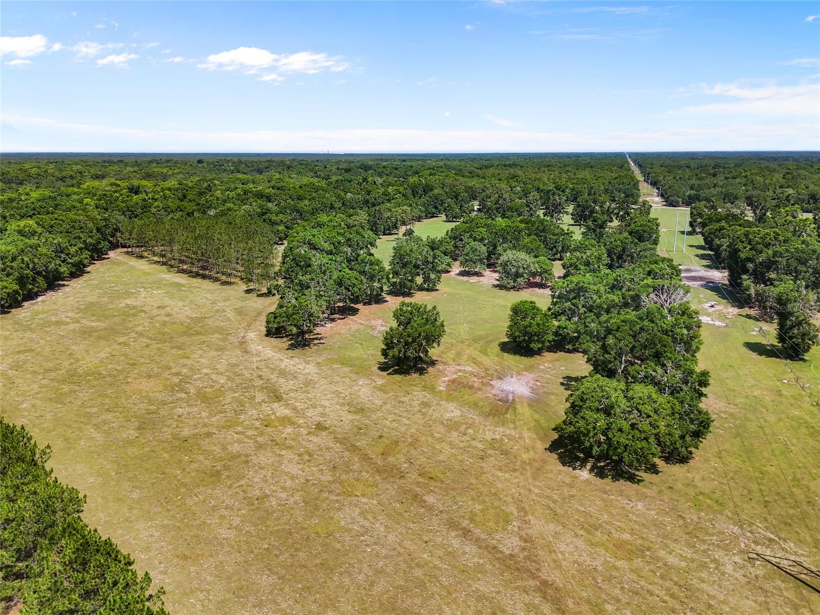 Image 28 of 38 For 4639 Wilson Springs Road