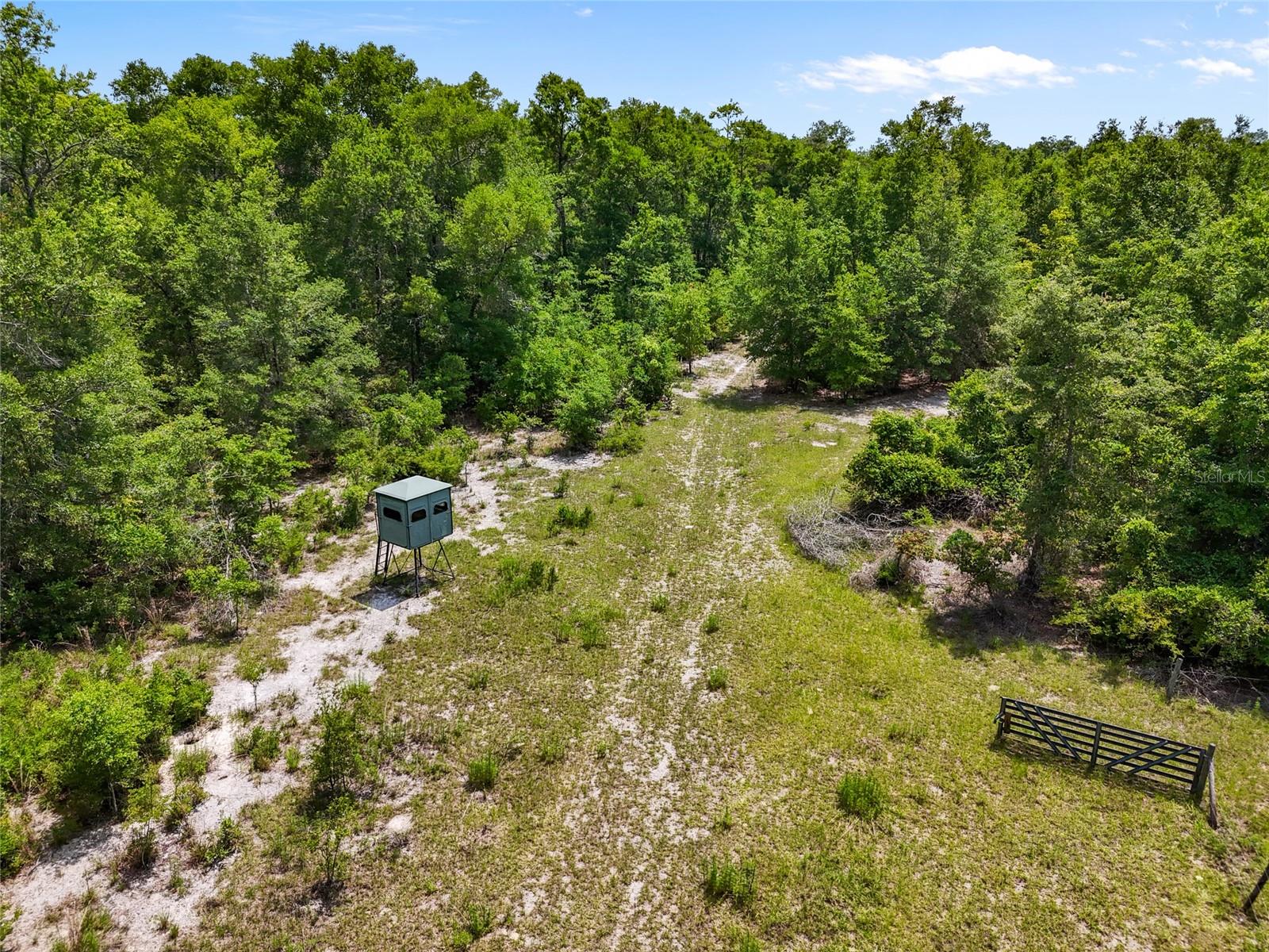 Image 30 of 38 For 4639 Wilson Springs Road