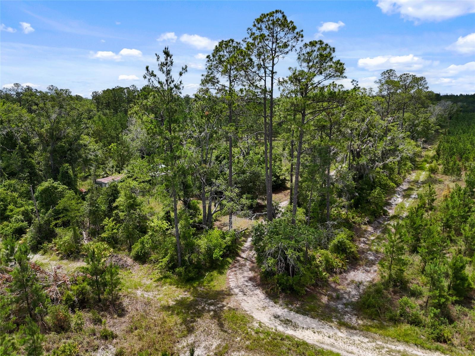 Image 5 of 9 For 2309 73rd Avenue