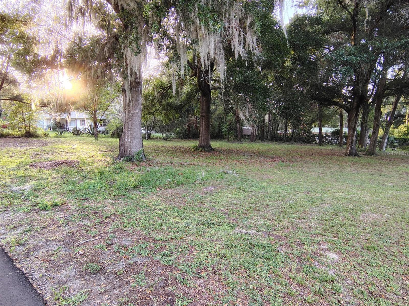 Image 4 of 4 For 5501 Live Oak