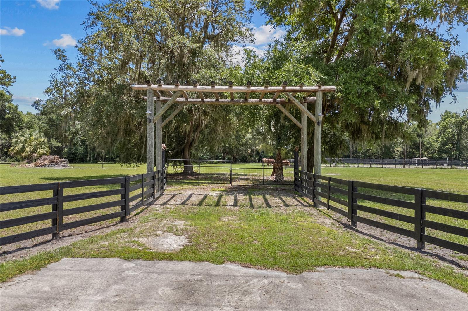 Details for 20797 Hwy 329, MICANOPY, FL 32667