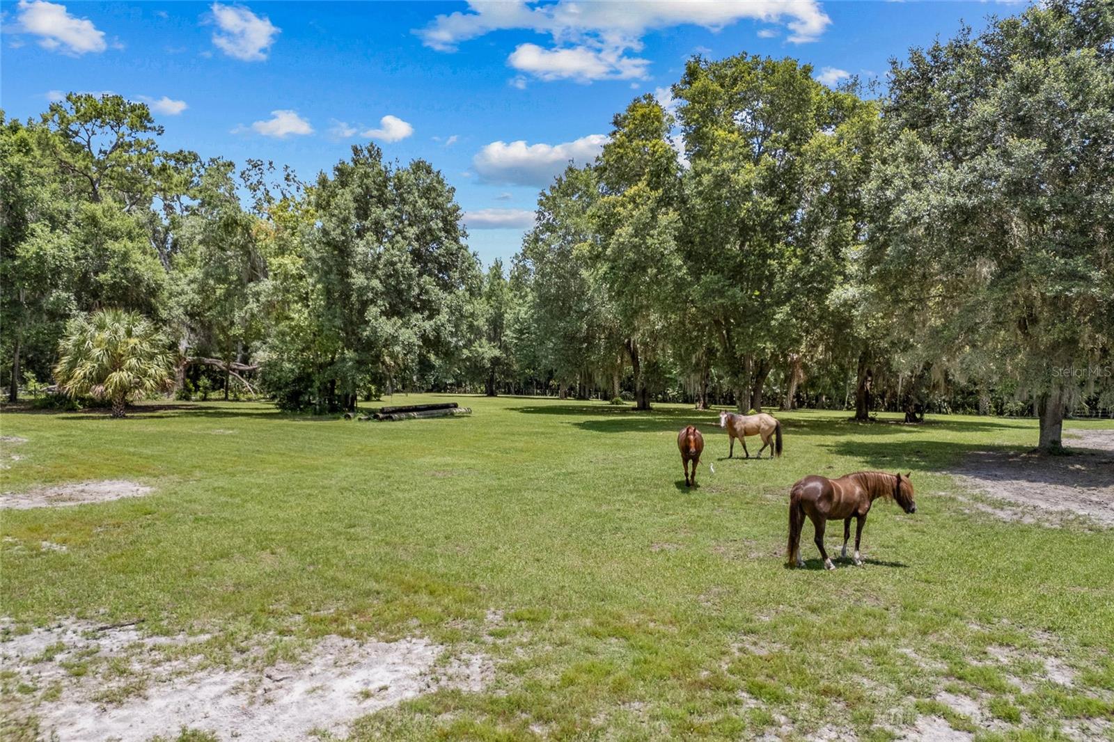 Image 4 of 20 For 20797 Hwy 329