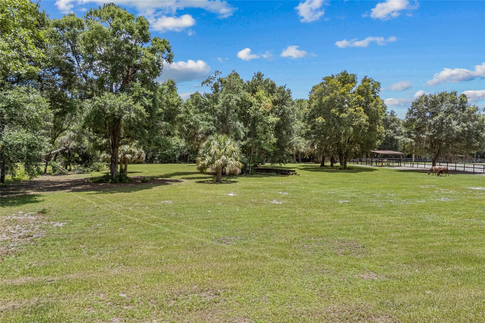 Image 5 of 20 For 20797 Hwy 329