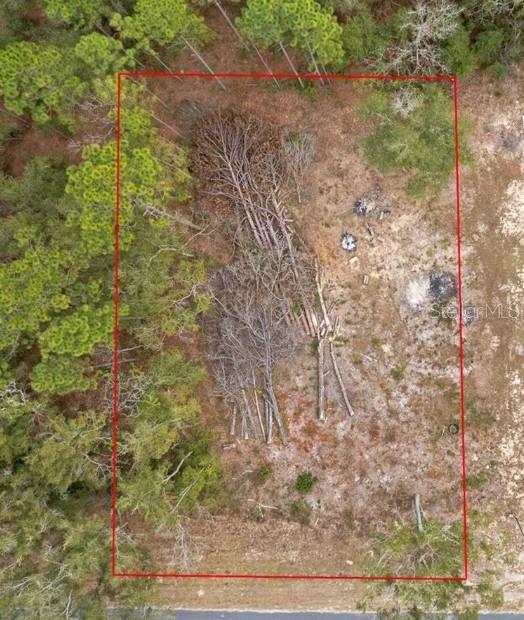 Listing Details for Ne State Road 121, WILLISTON, FL 32696