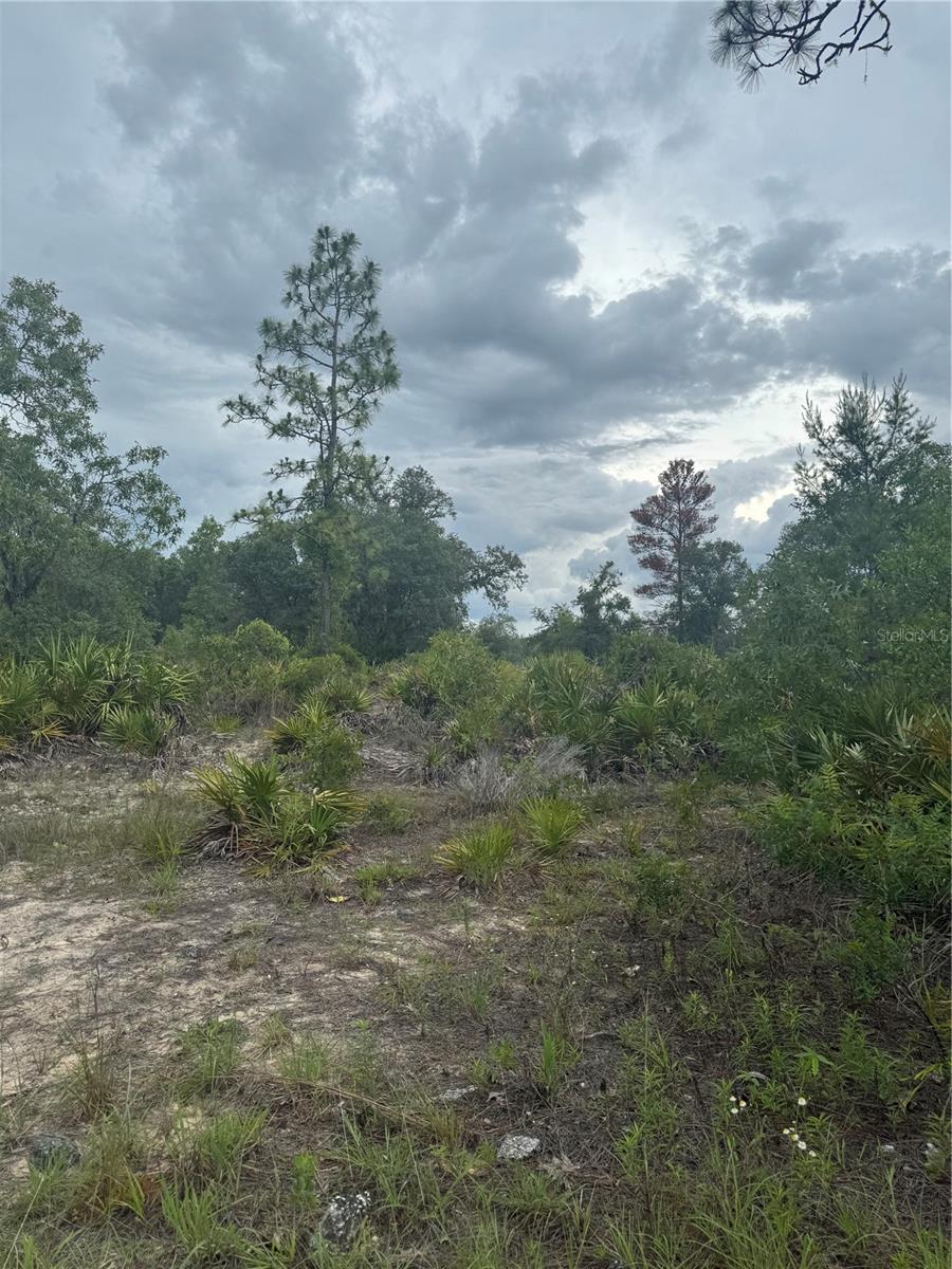 Details for  Ne 105st  , ARCHER, FL 32618