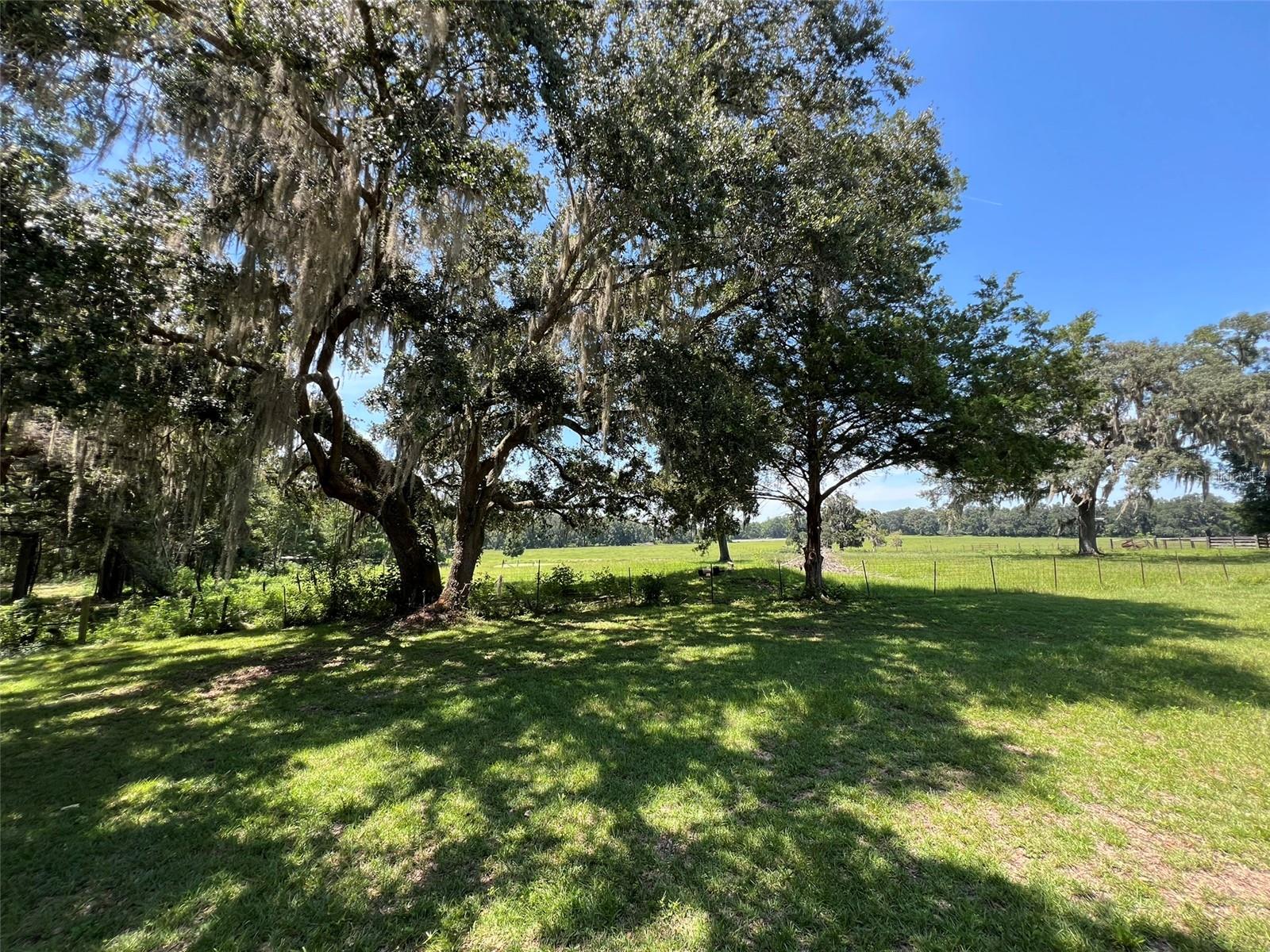 Image 3 of 18 For 20714 County Road 235a