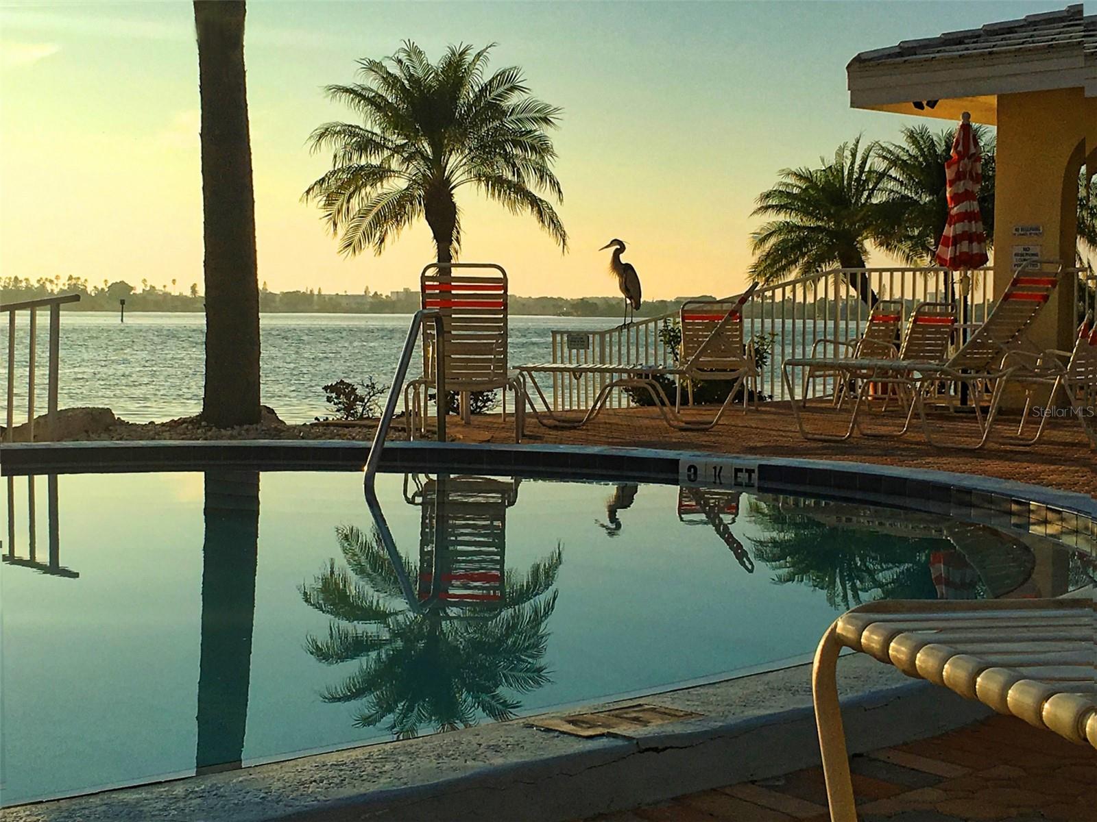 Image 39 of 46 For 4750 Cove Circle 502