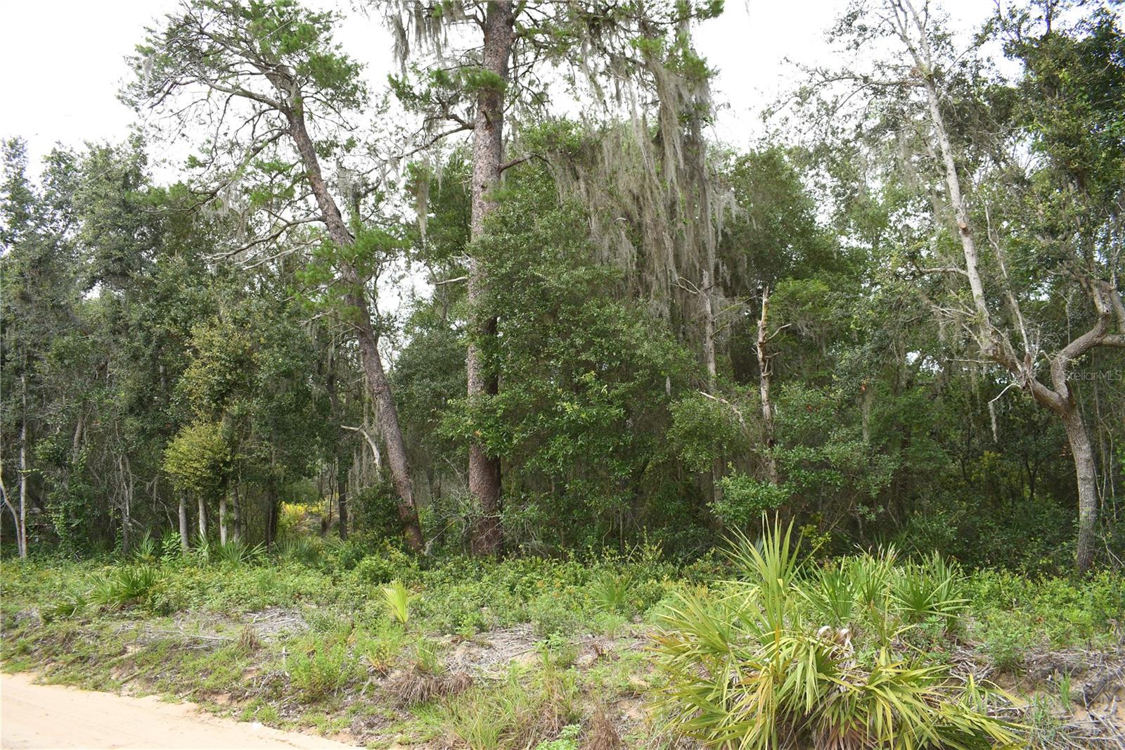 Details for Tbd 213th Lane, FORT MC COY, FL 32134