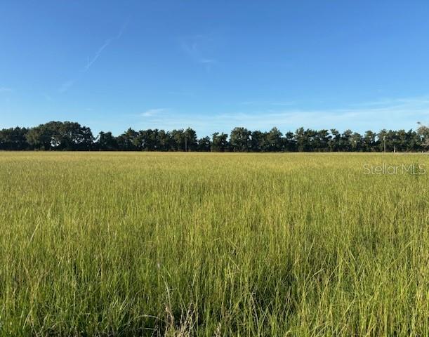 Details for Tbd 70 Street, CHIEFLAND FL, FL 32626