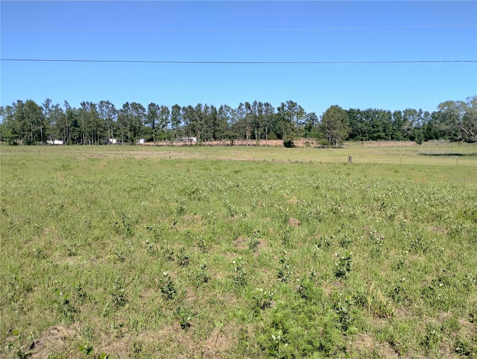 Image 5 of 13 For 8335 168th Street