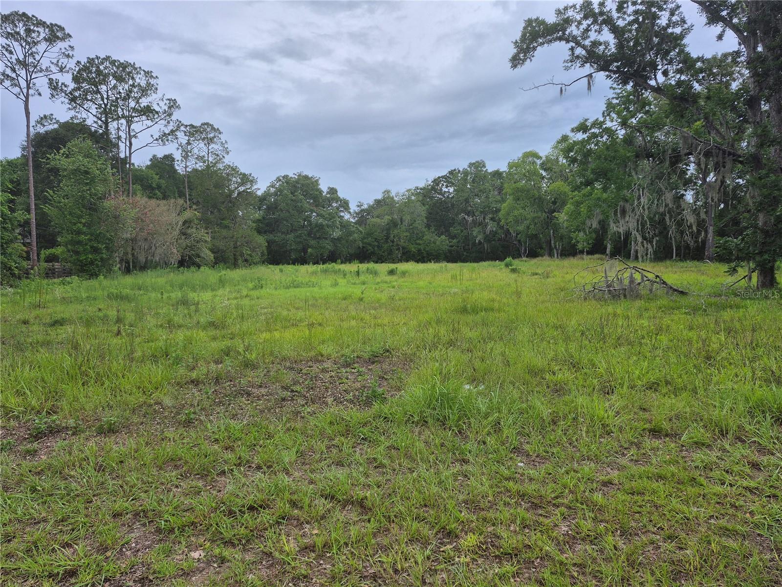 Listing Details for 1224 143rd Street, NEWBERRY, FL 32669