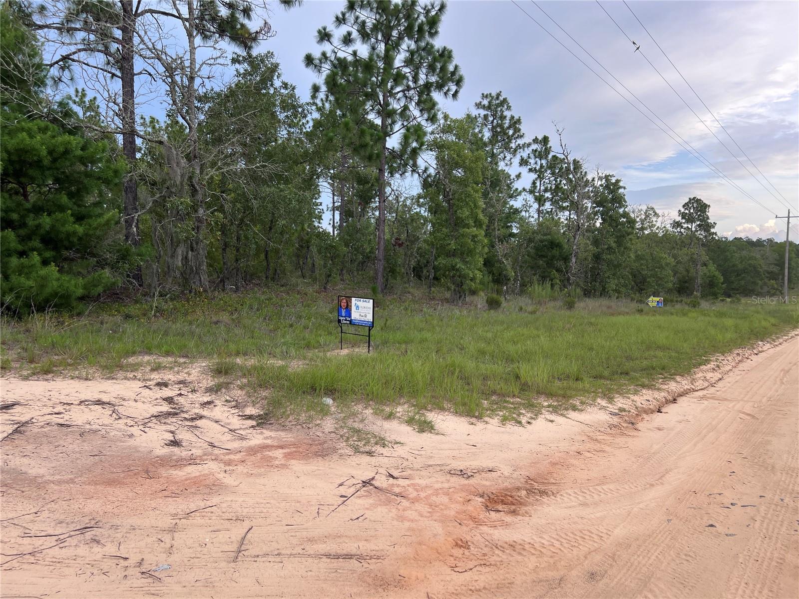 Details for 2104 Main Street, HAWTHORNE, FL 32640