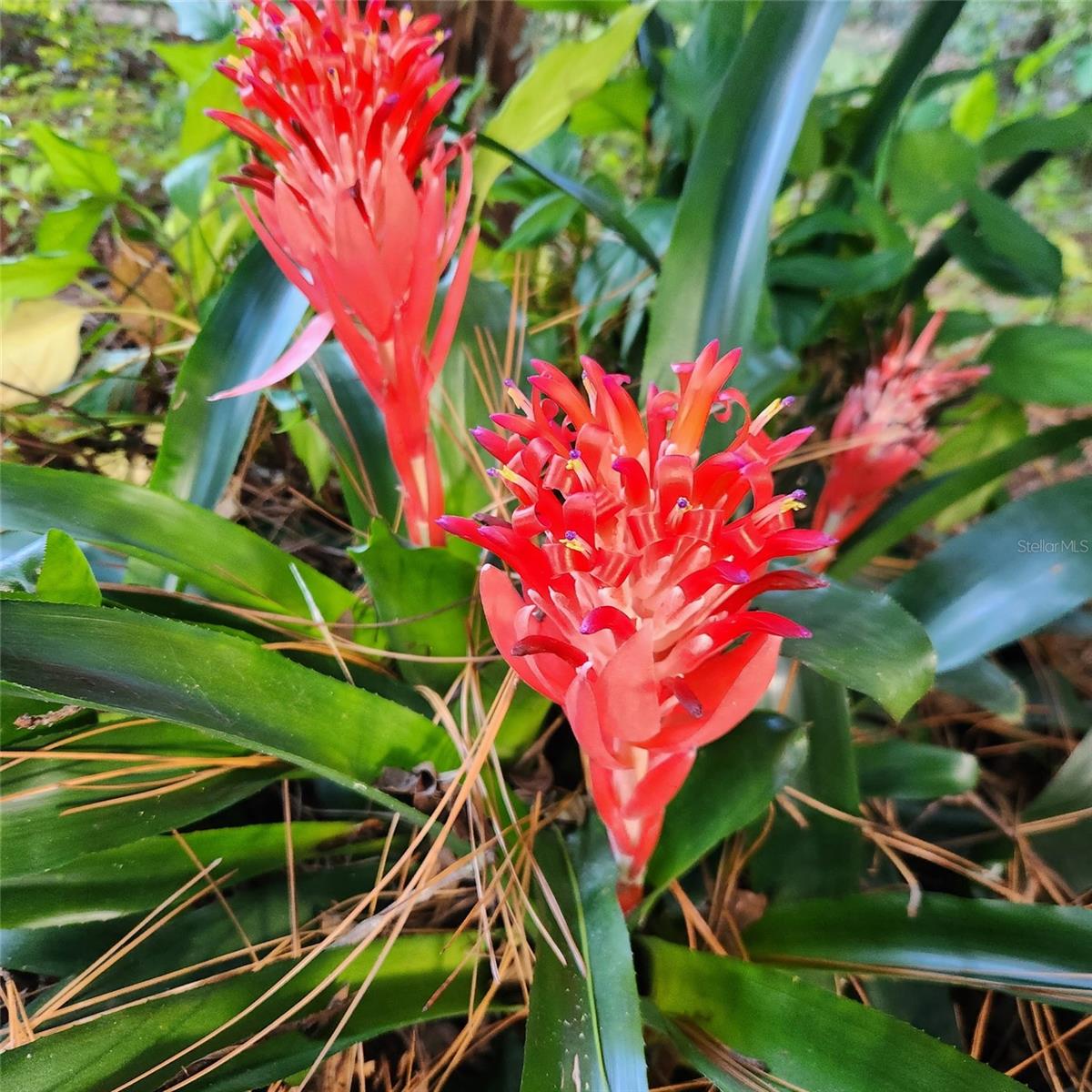 Image 34 of 36 For 601 36th Drive