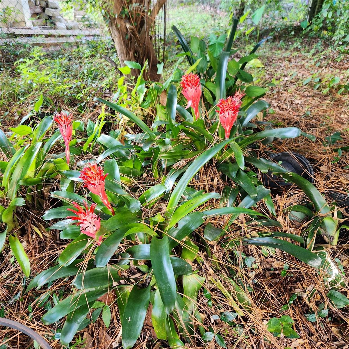 Image 36 of 36 For 601 36th Drive