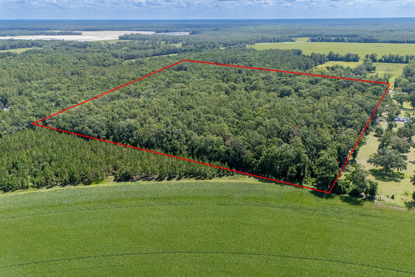 Details for 8289 Highway 349, OLD TOWN, FL 32680