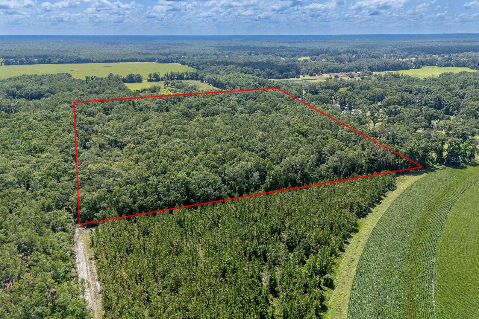 Image 4 of 21 For 8289 Highway 349