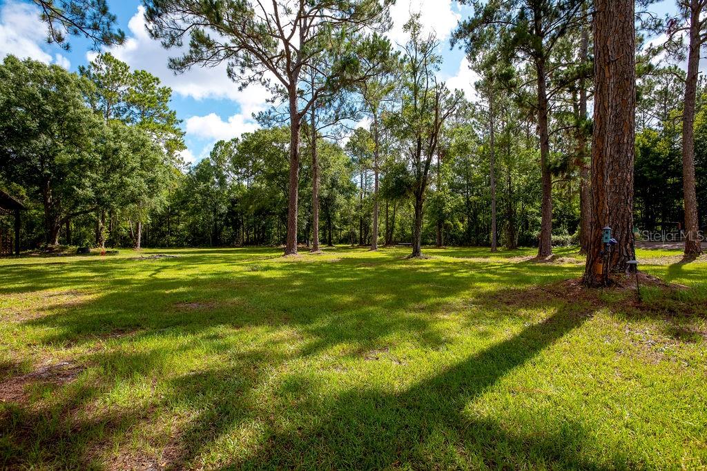 Image 56 of 72 For 2527 County Road 225