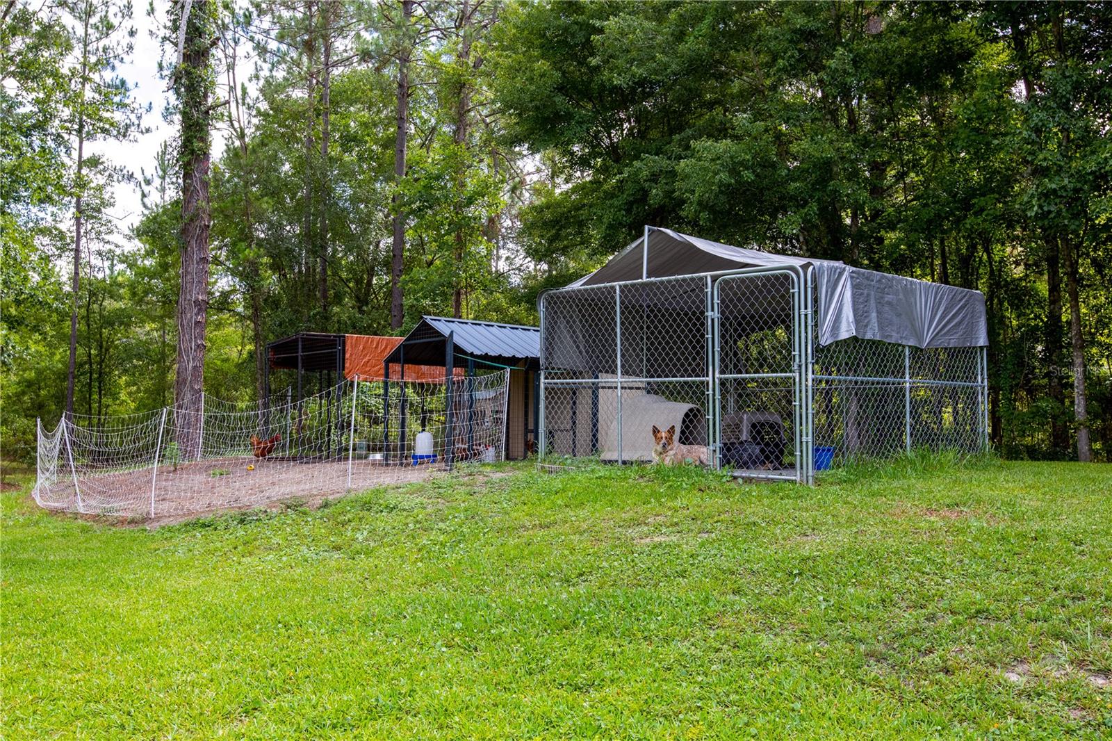 Image 61 of 72 For 2527 County Road 225