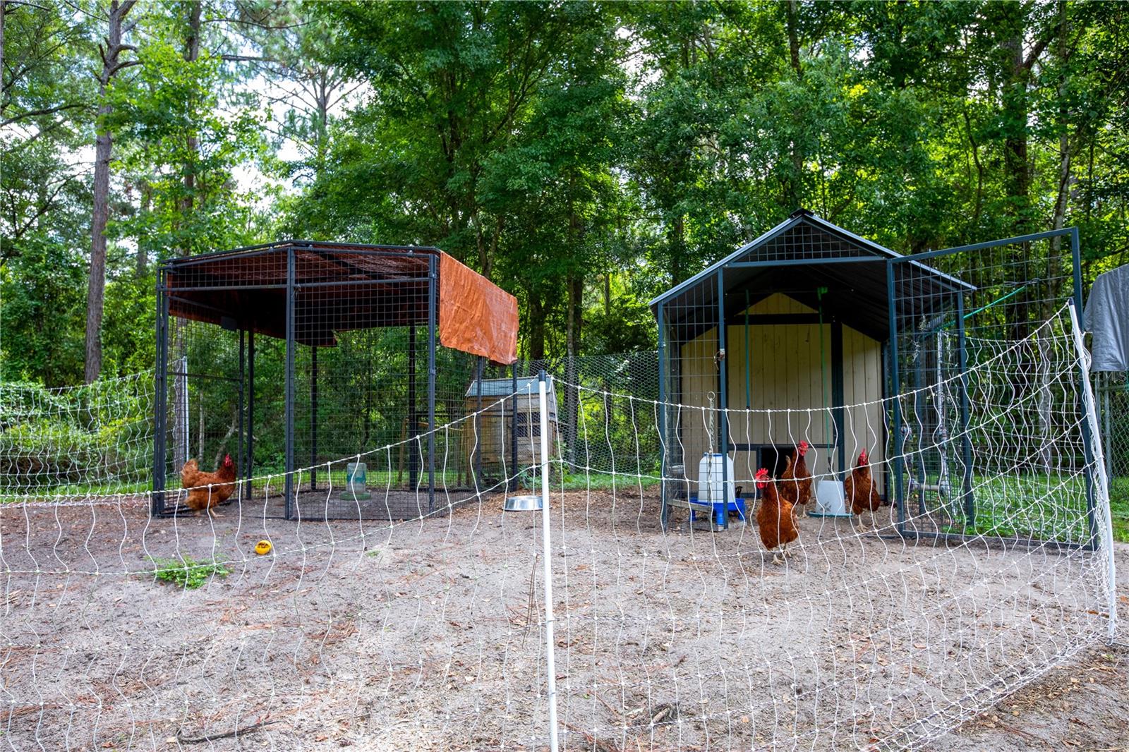Image 62 of 72 For 2527 County Road 225