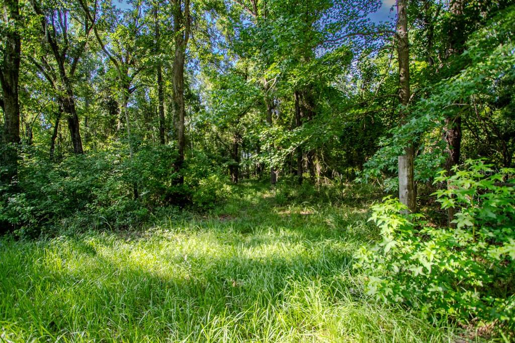 Image 38 of 63 For 22481 County Road 18