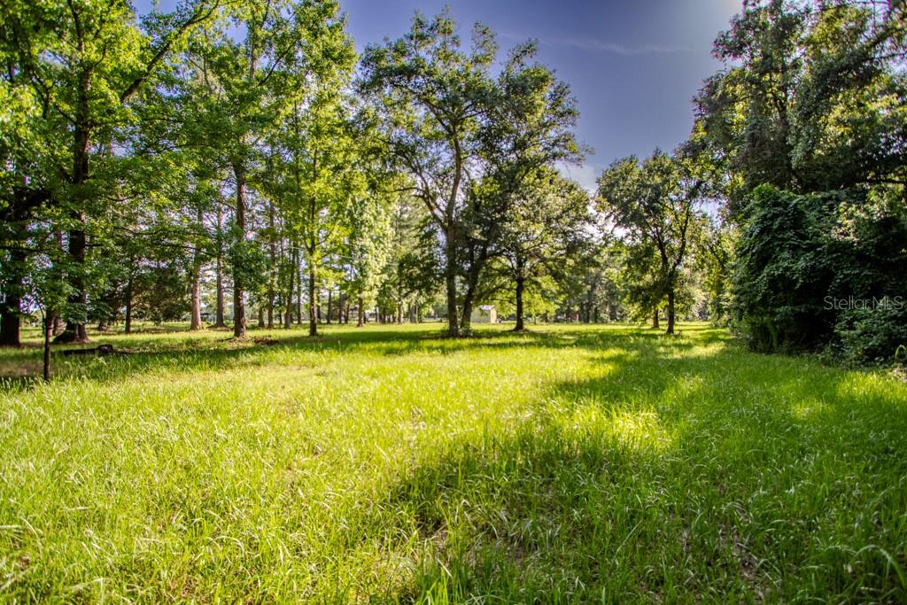 Image 39 of 63 For 22481 County Road 18