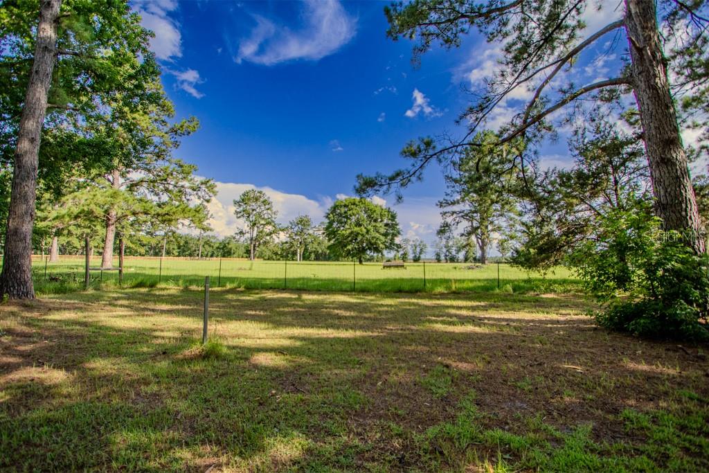 Image 47 of 63 For 22481 County Road 18