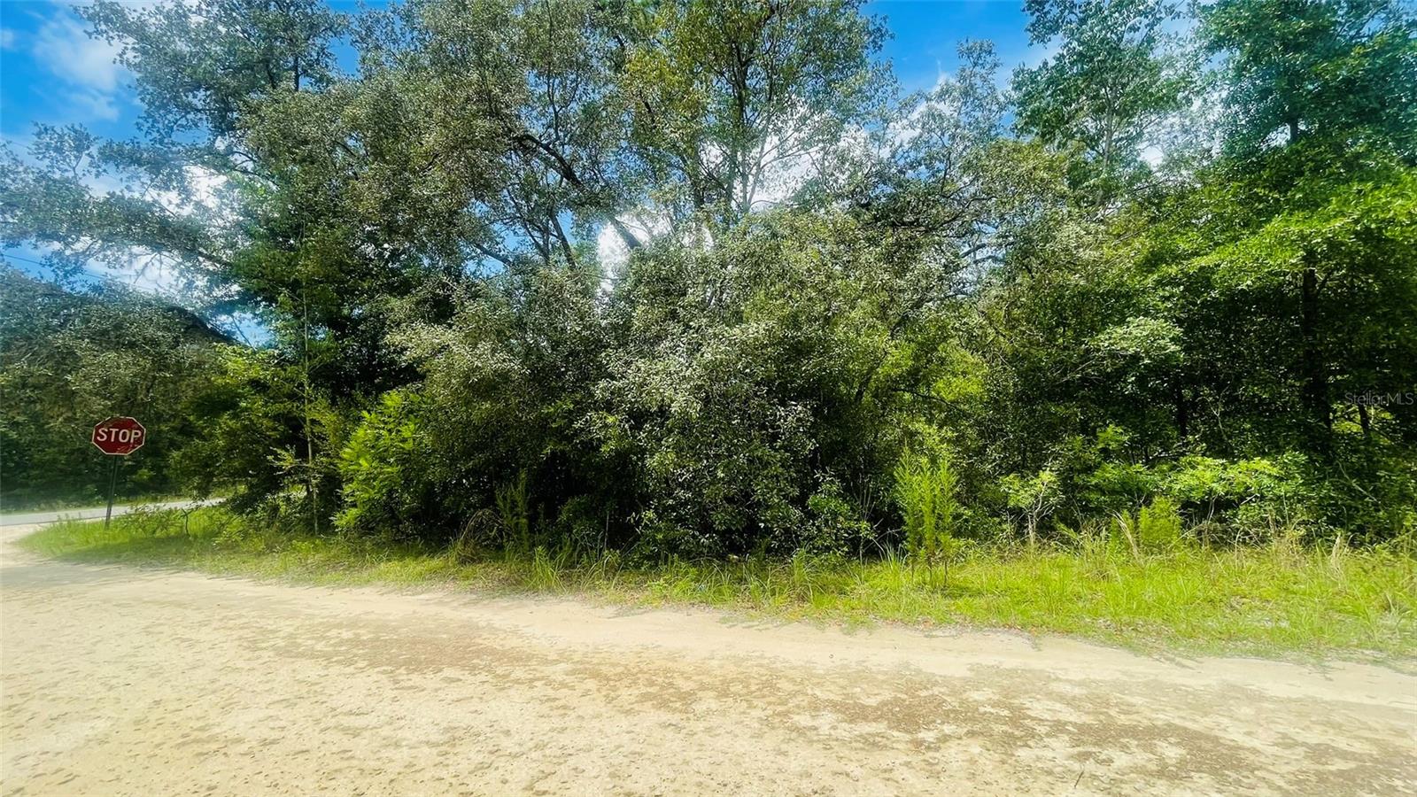 Image 3 of 4 For Lot 488 80th Street