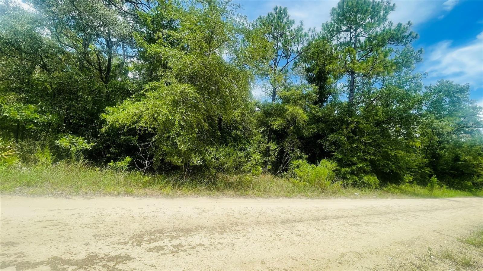 Image 4 of 4 For Lot 488 80th Street