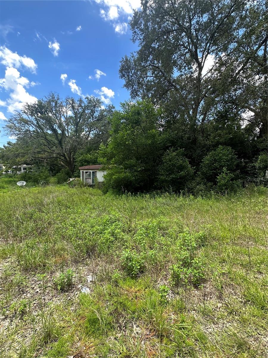 Details for 15950 4th Place, WILLISTON, FL 32696