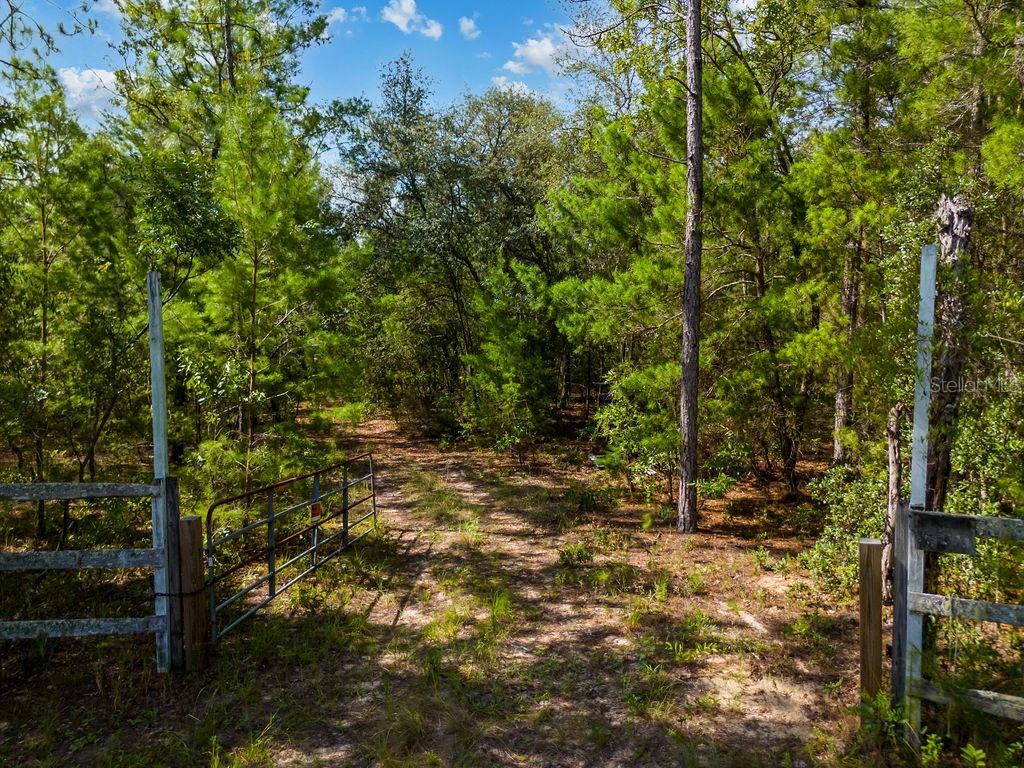 Details for 6474 Golden Oak Lane, KEYSTONE HEIGHTS, FL 32656