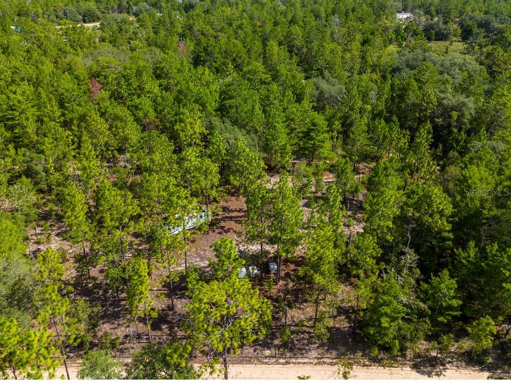 Image 10 of 18 For 6474 Golden Oak Lane