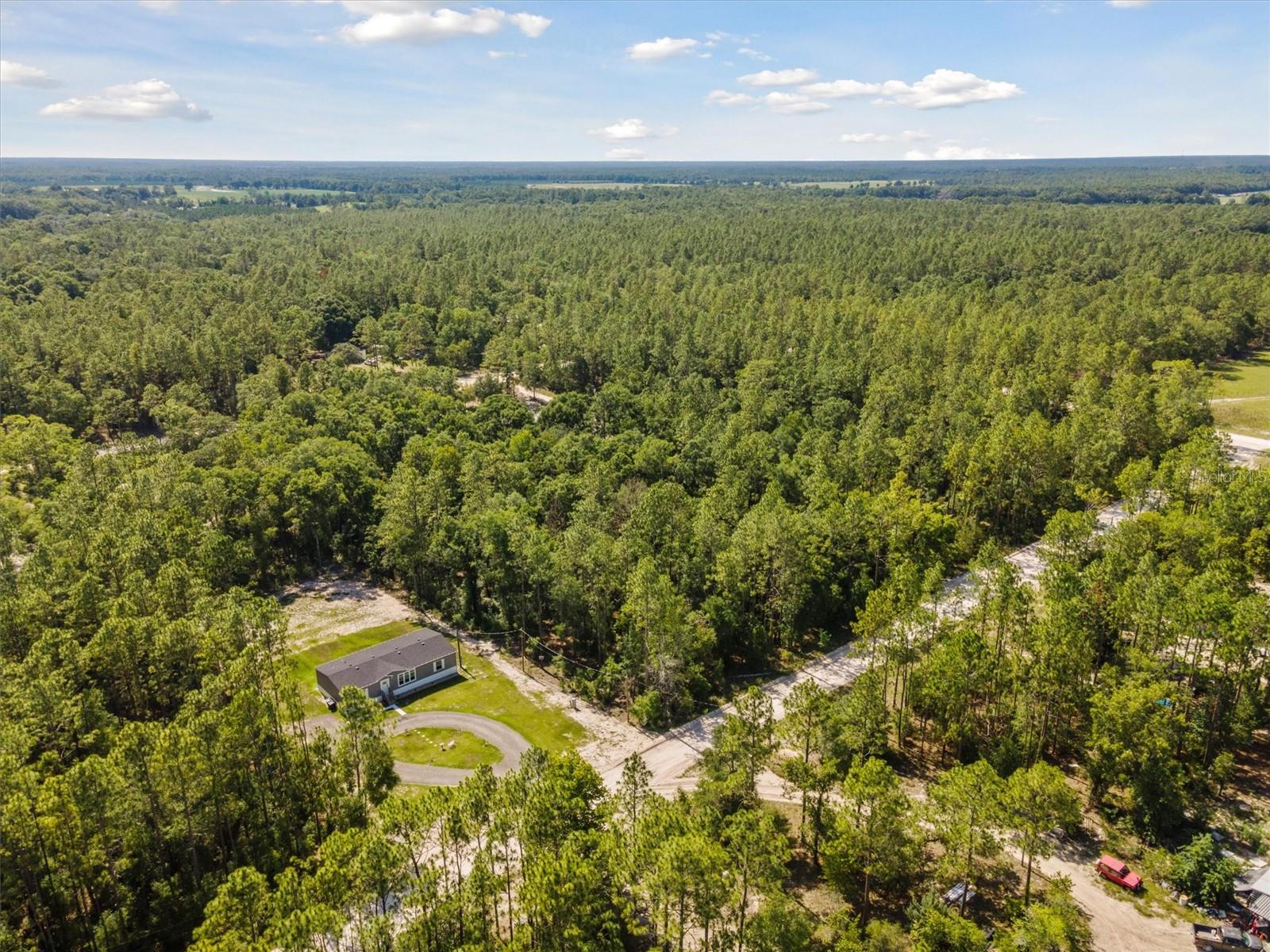 Details for Tbd 16th Avenue, BELL, FL 32619