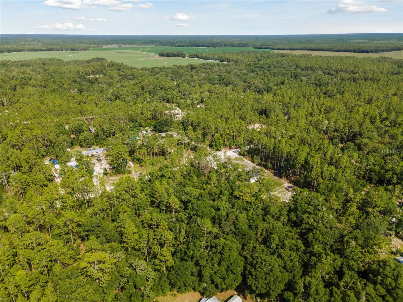 Image 4 of 12 For Tbd 16th Avenue