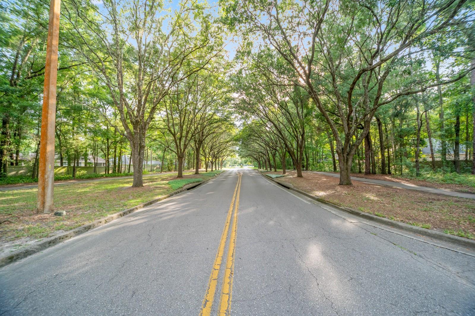 Image 41 of 42 For 10166 52 Road