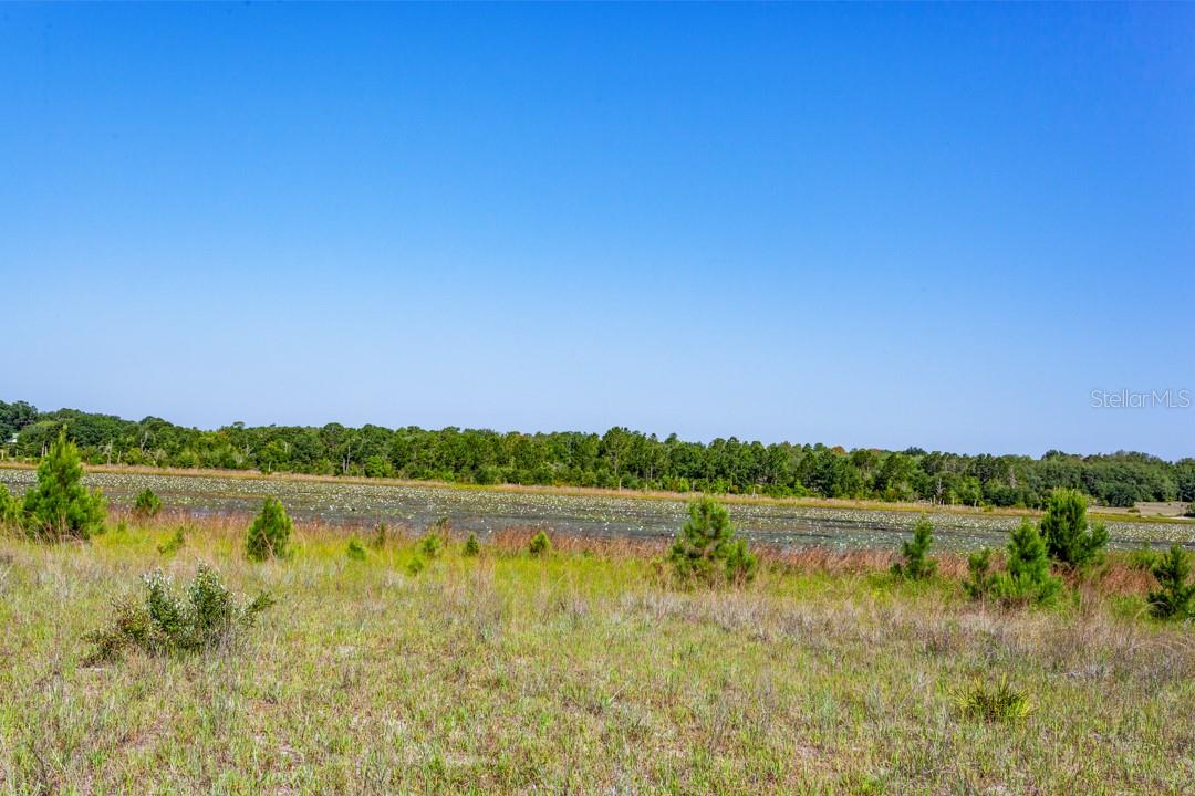 Image 19 of 26 For 8118 County Line Road