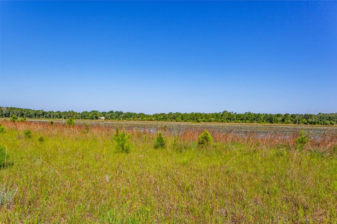 Image 20 of 26 For 8118 County Line Road