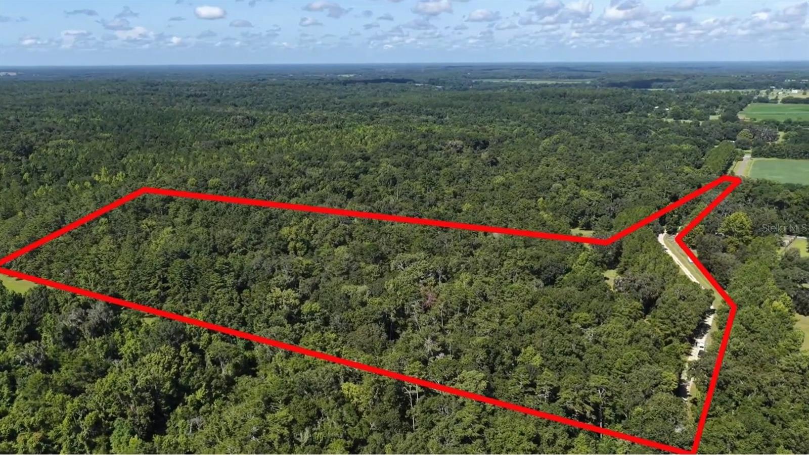 Details for 13602 218th Lane, ALACHUA, FL 32615