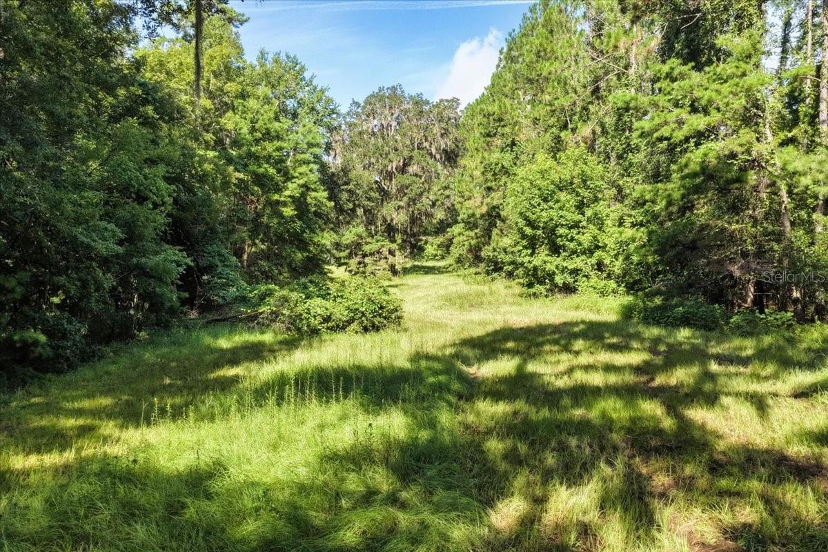 Image 9 of 22 For 13602 218th Lane