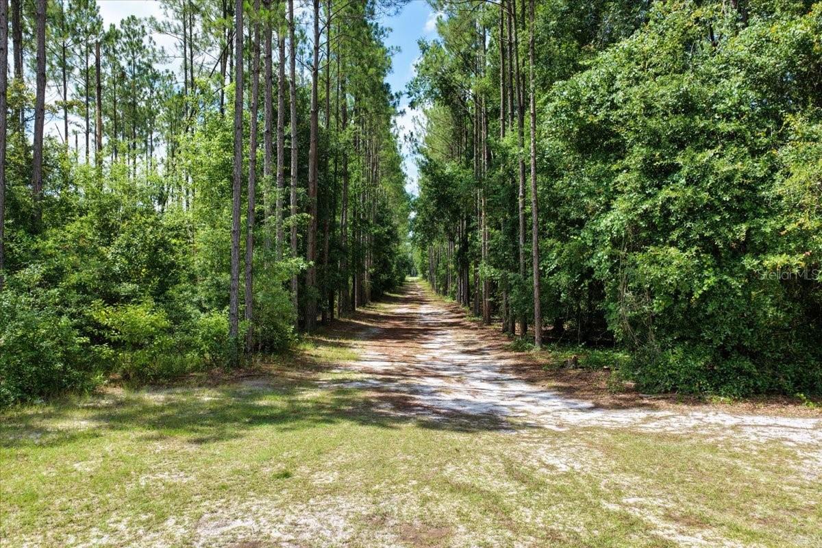 Image 72 of 90 For 631 172nd Lane