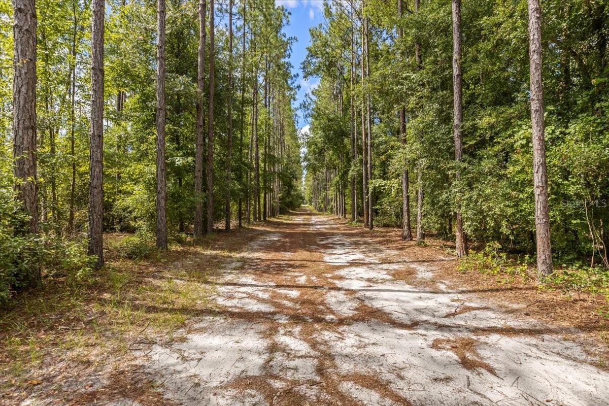 Image 73 of 90 For 631 172nd Lane