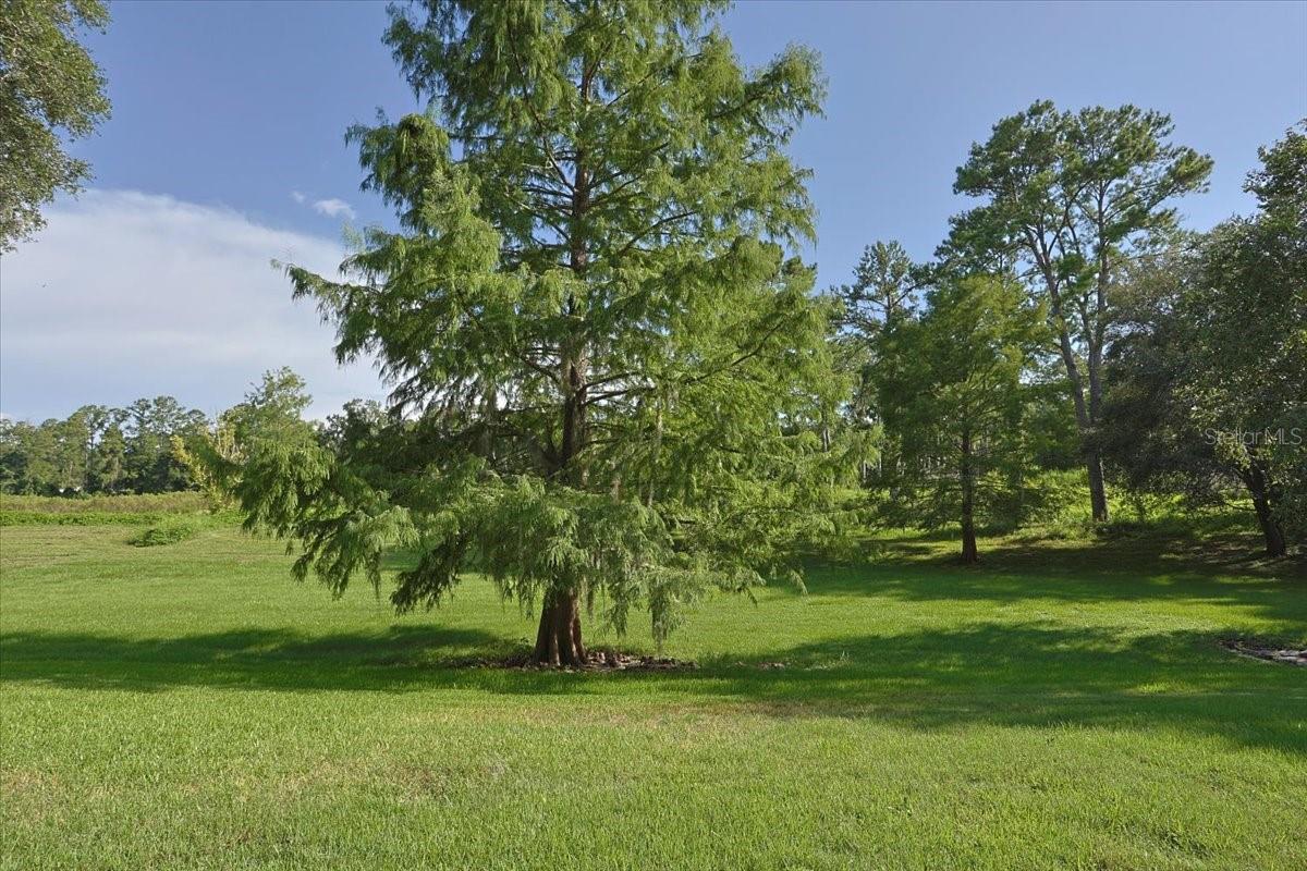 Image 2 of 23 For 2710 105th Drive