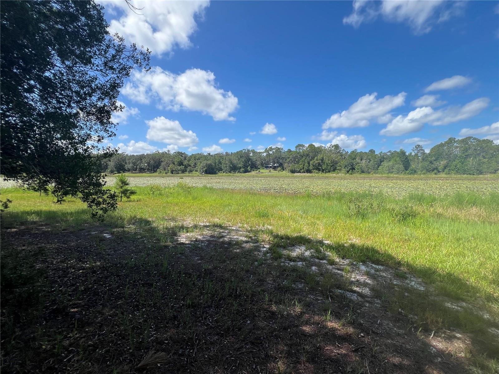 Details for 427 South Carolina Street, HAWTHORNE, FL 32640