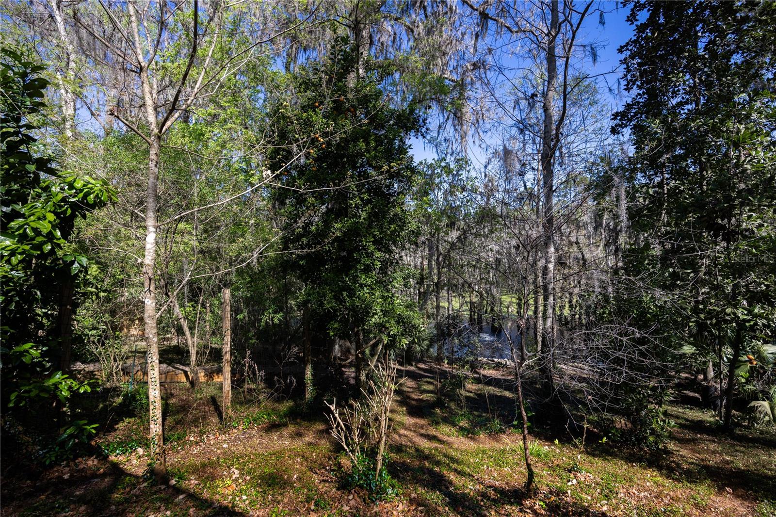 Image 50 of 84 For 6030 24th Lane