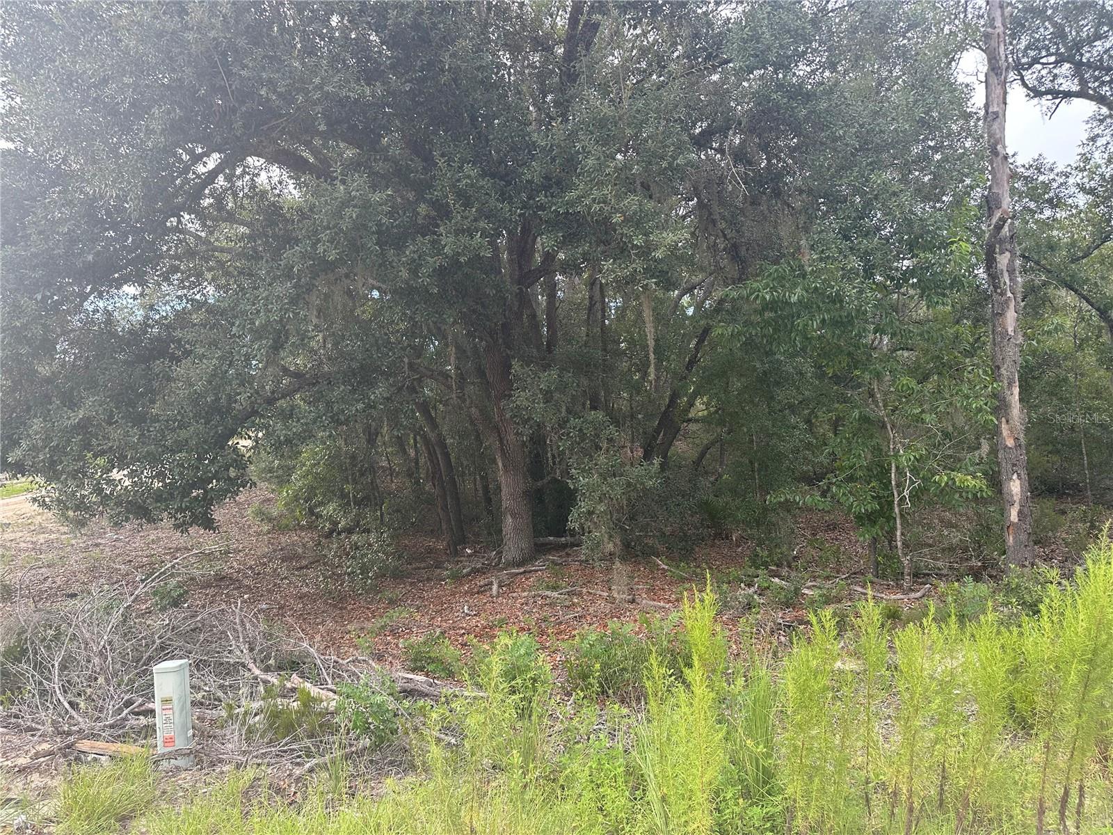 Image 8 of 16 For  85th St  