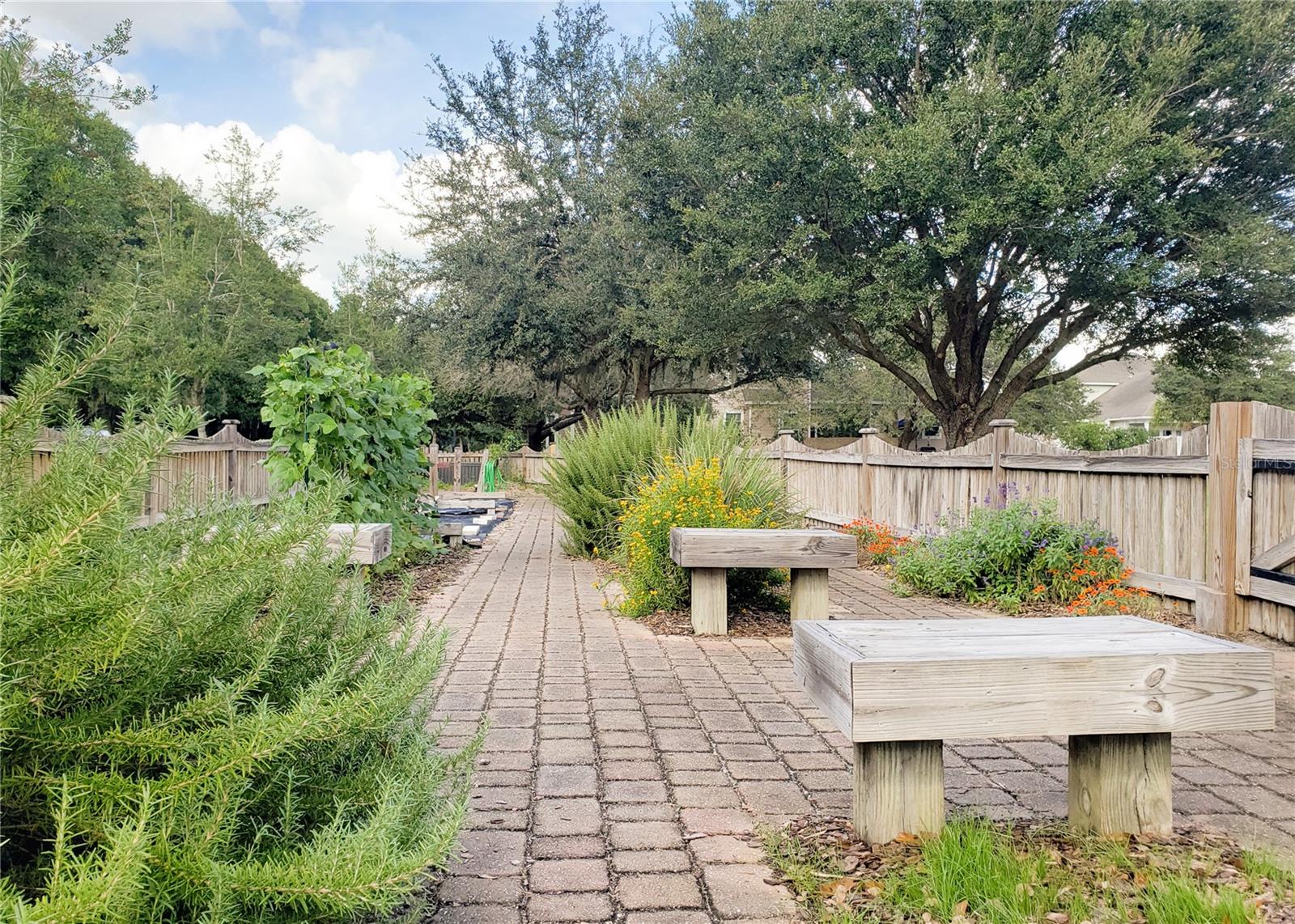 Image 6 of 7 For 1063 135 Drive