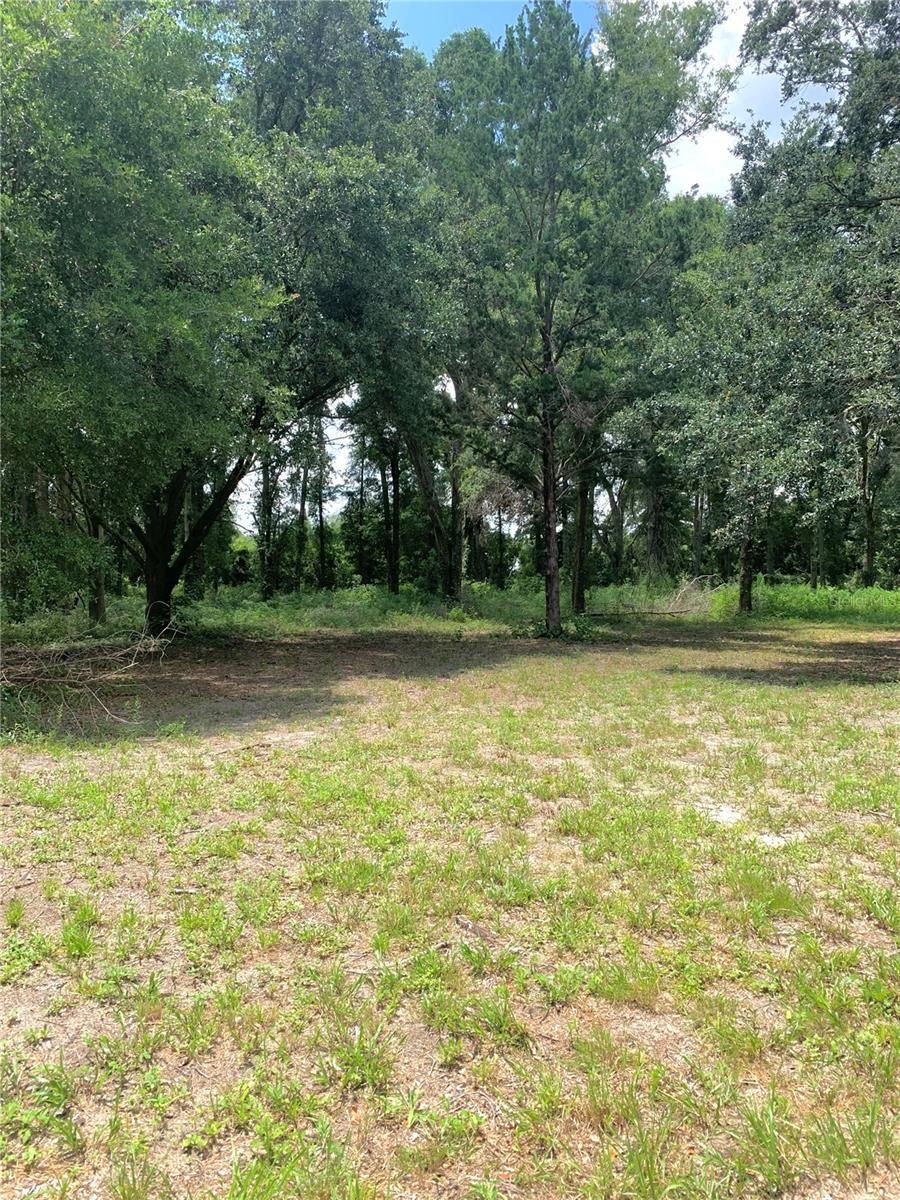 Details for Sw 19th Circle, TRENTON, FL 32693