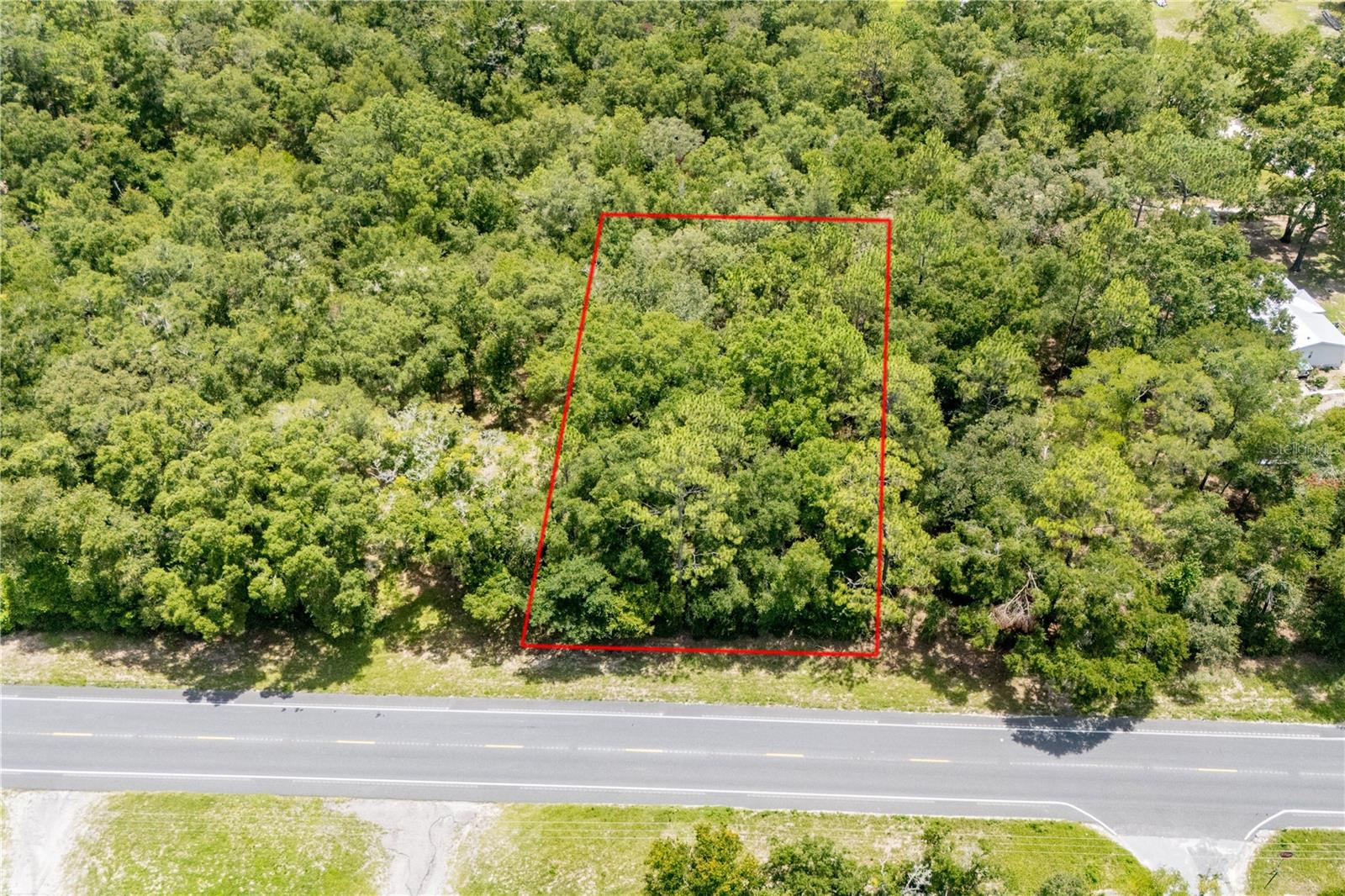 Details for 000 State Road 121, WILLISTON, FL 32696