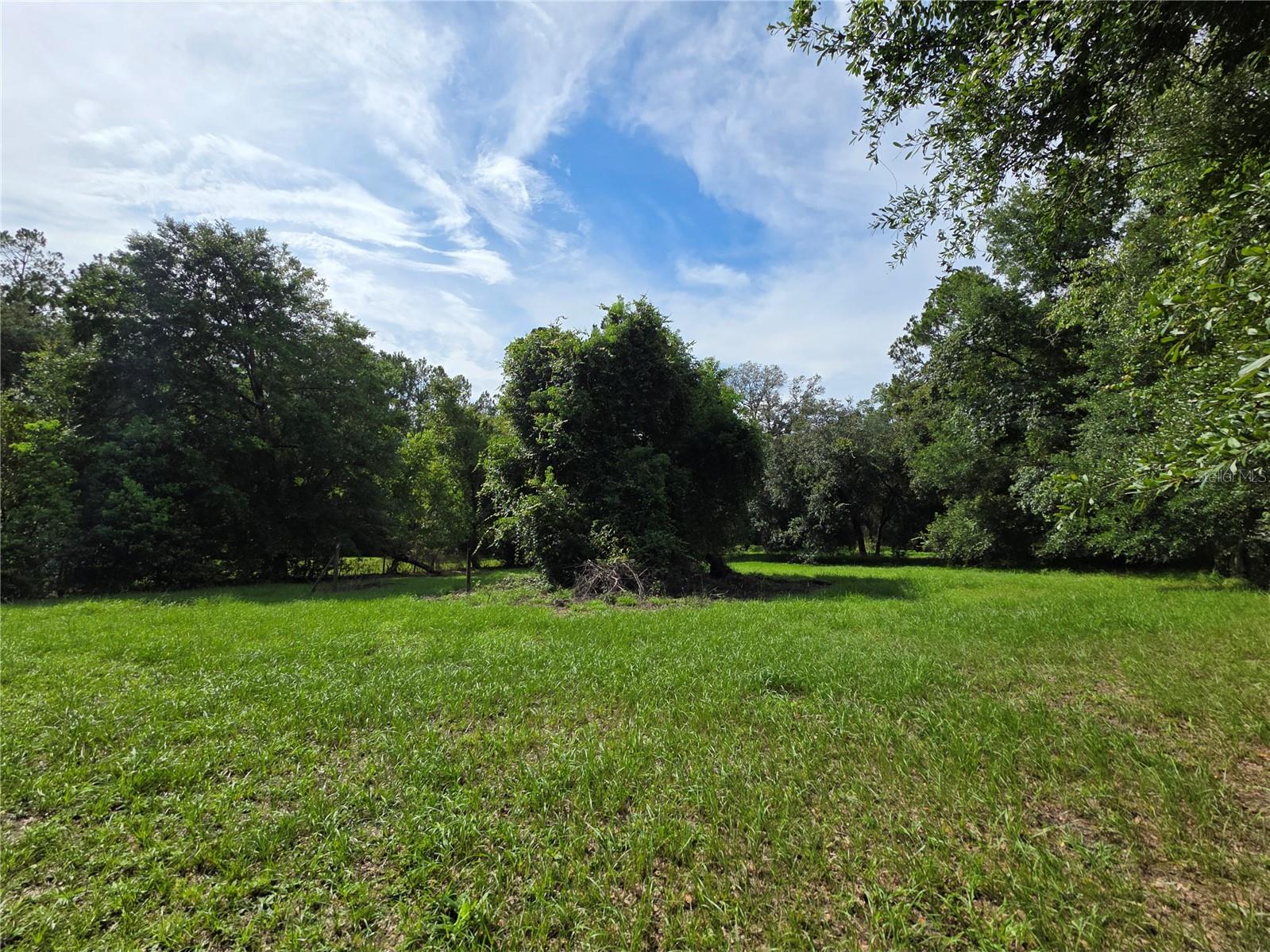 Image 25 of 31 For 13273 County Road 227