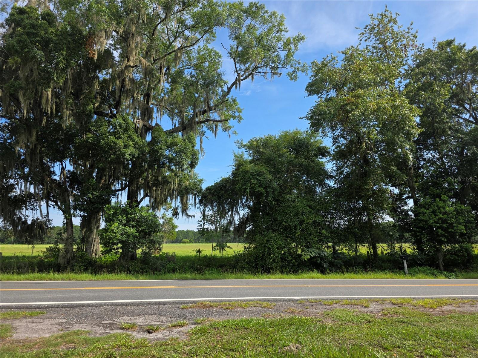 Image 29 of 31 For 13273 County Road 227