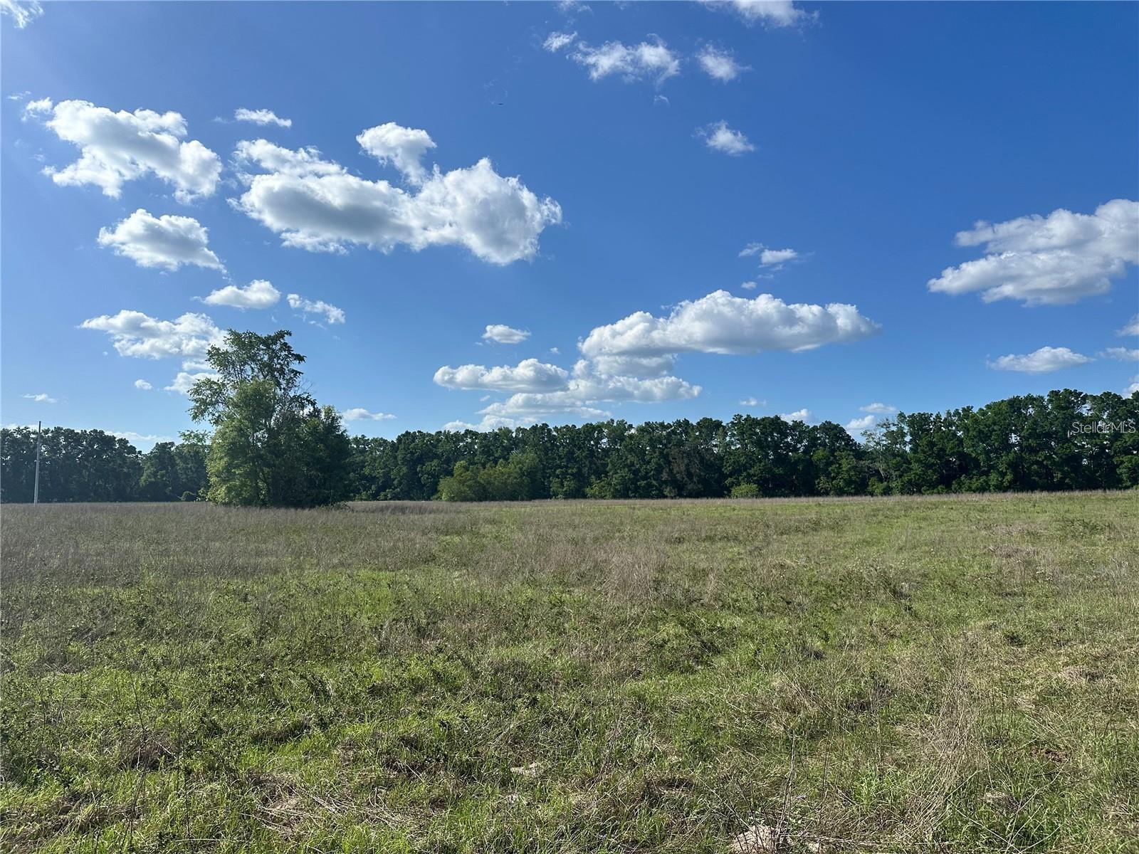 Image 6 of 13 For 870 Fry Avenue